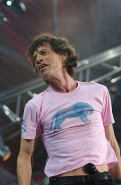 Mick Jagger's hair is for sale for about 6000 euros