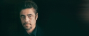 Benicio del Toro, Président du Jury Un Certain Regard